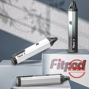 斯萊克三代 SLYEEKS 主機（Fitpod X Slyeek 3）：圖片 1